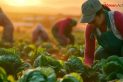 Women In Agriculture