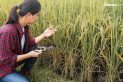 Women In STEM