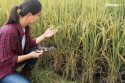 Women In STEM