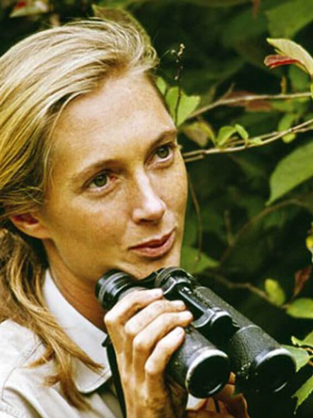 5  Women Leading the Fight Against Climate Change