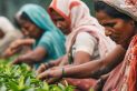 Empowering Rural Women to Lead India's Transition Toward a Green Business Economy