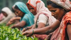 Empowering Rural Women to Lead India's Transition Toward a Green Business Economy