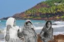 Goa’s Rural Livelihood Mission Targets Poverty Elimination via Women-Led SHGs