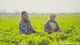 Women at the Forefront: Rural Development Initiative Gaining Momentum in Ludhiana
