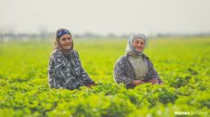 Women at the Forefront: Rural Development Initiative Gaining Momentum in Ludhiana