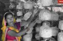 Meet Bihar's Mushroom Lady: Bina Devi's Journey to Empowering 70,000 Rural Women