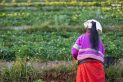 How Rural UP Women are Turning Their Tradition into Livelihood